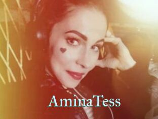 AminaTess