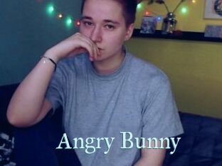 Angry_Bunny
