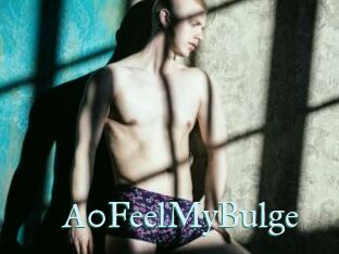 a0FeelMyBulge CS Sexcam