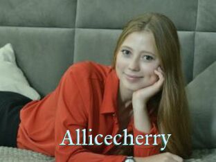 Allicecherry
