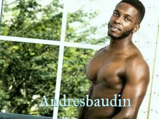 Andresbaudin