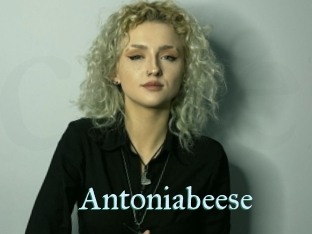 Antoniabeese