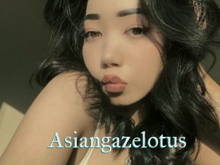 Asiangazelotus