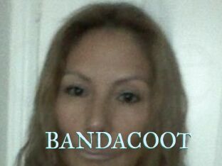 BANDACOOT