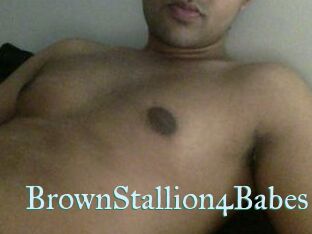BrownStallion4Babes