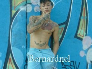 Bernardnel