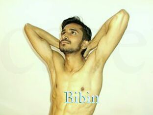 Bibin