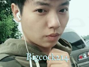Bigcock214