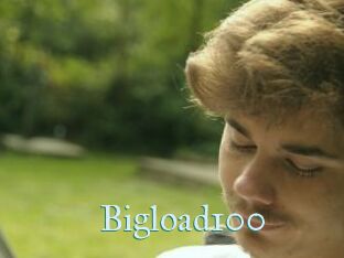 Bigload100