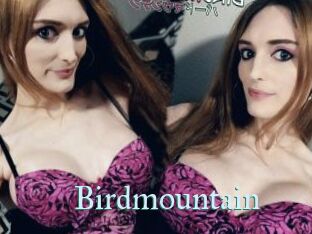 Birdmountain