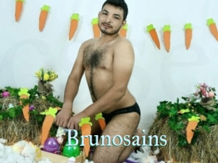 brunosains CS Sexcam