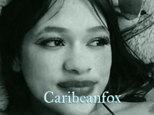 Caribeanfox