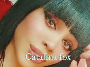 Catalina_fox