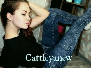 Cattleyanew