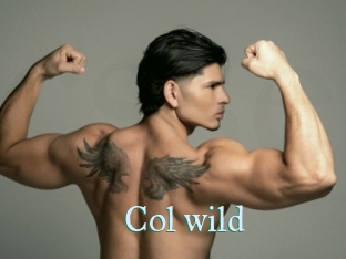 col_wild CS Sexcam