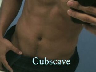 Cubscave