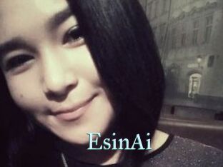 EsinAi