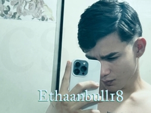 Ethaanbull18