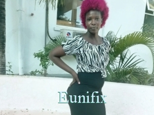 Eunifix