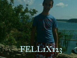 FELL1X123