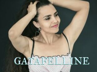 GATAFELLINE