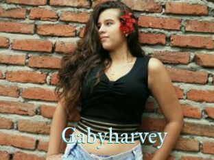 Gabyharvey