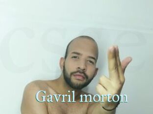 Gavril_morton