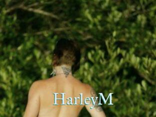 HarleyM