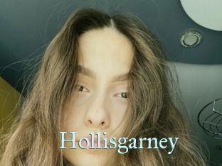 Hollisgarney