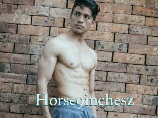 Horse9inchesz