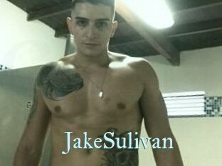 Jake_Sulivan