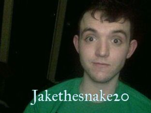 Jakethesnake20