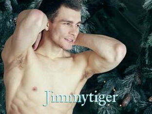 Jimmytiger