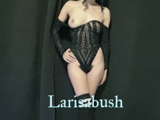 larisabush CS Sexcam