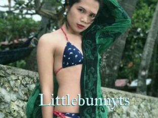 Littlebunnyts
