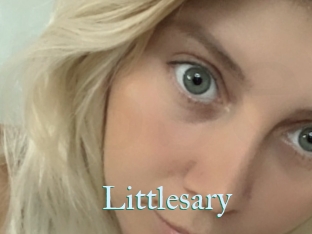 Littlesary