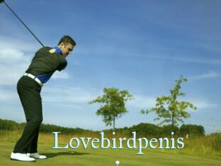 Lovebirdpenis