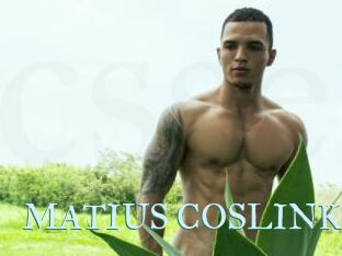 MATIUS_COSLINK