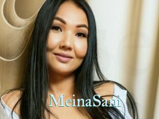 MeinaSani
