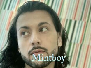 Mintboy