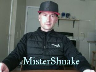 MisterShnake