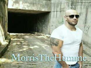 MorrisTheHumme