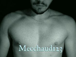 Mecchaud123