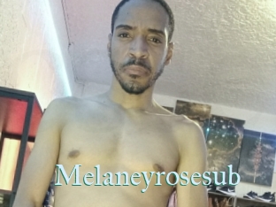 Melaneyrosesub