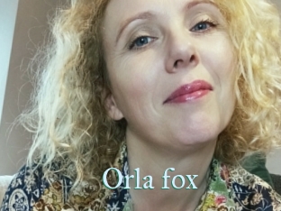 Orla_fox