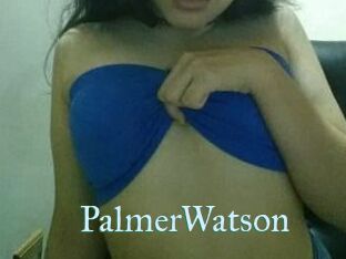 PalmerWatson