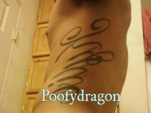 Poofydragon