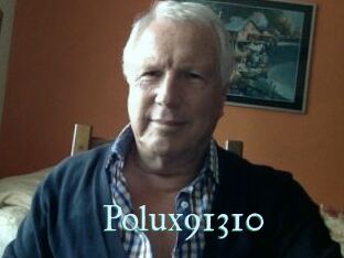 Polux91310