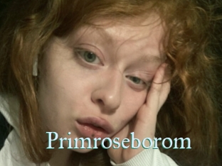 Primroseborom
