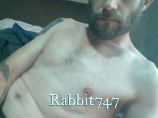Rabbit747
